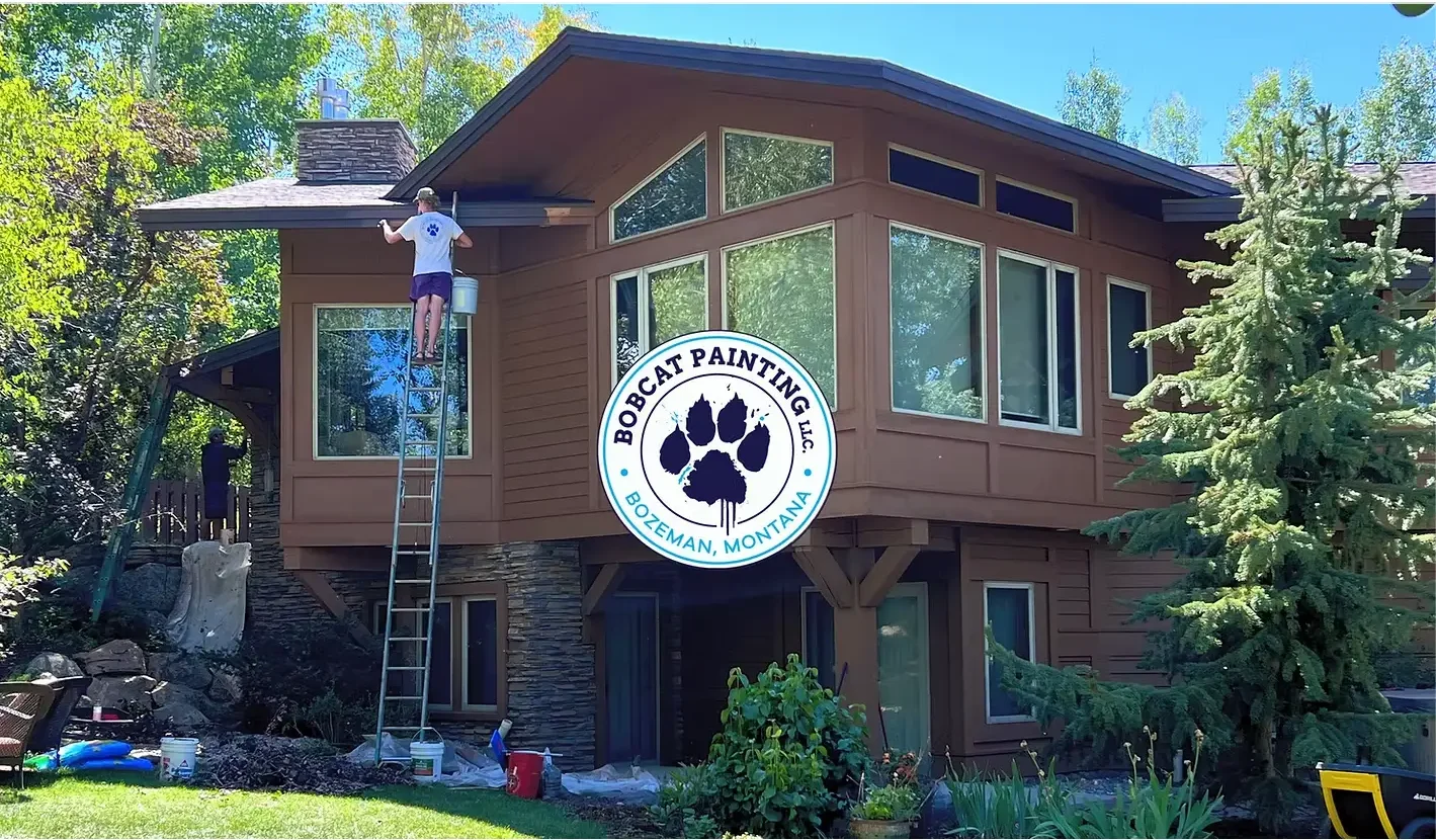Web Design - Bobcat painters