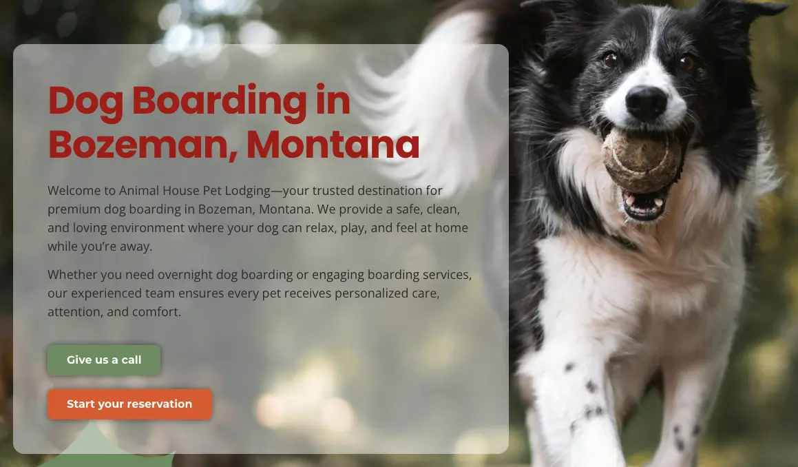 Animal House Pet Lodging